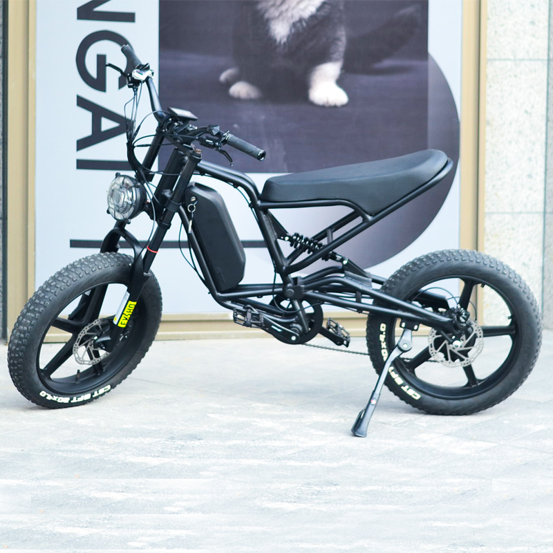 Motor ebike