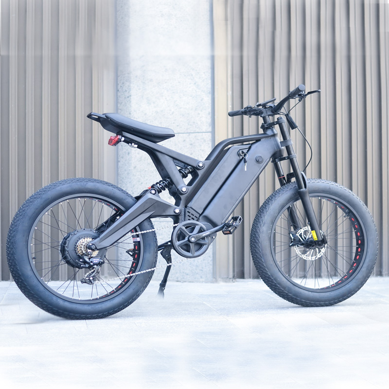 Dual battery Ebike 