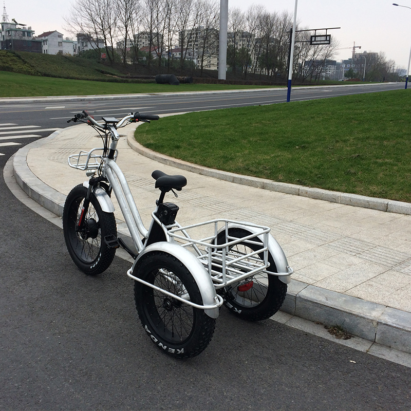 3-wheel thricle