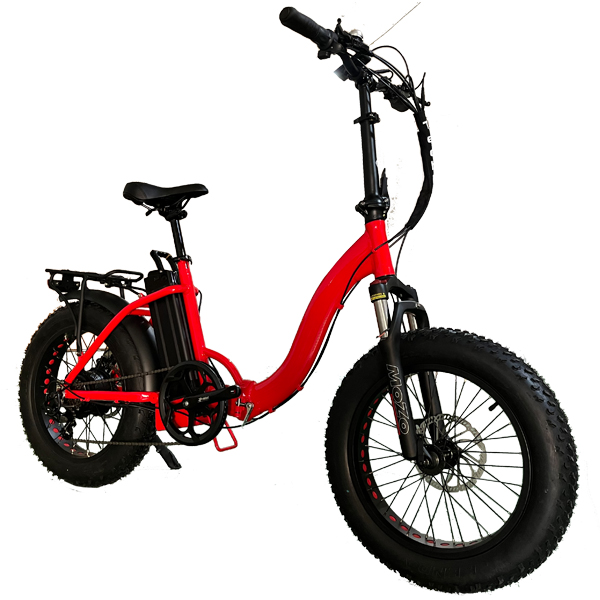 Fat S model 